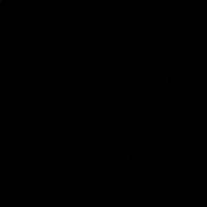 Meet your Posher, Brody